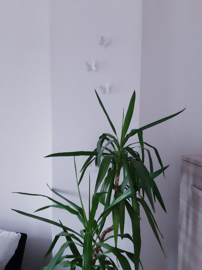 Apartment Mariel *